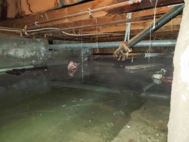 Best Commercial water damage restoration  in Woodville, TX