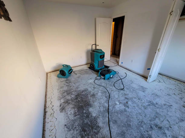 Fire Damage Restoration in Woodville, TX