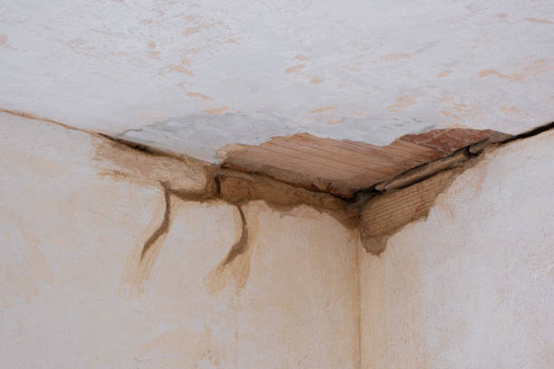 Best Local water damage restoration  in Woodville, TX