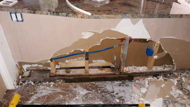 Best Professional water damage repair  in Woodville, TX