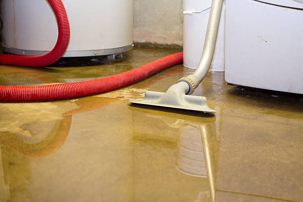 Professional Water damage restoration in Woodville, TX