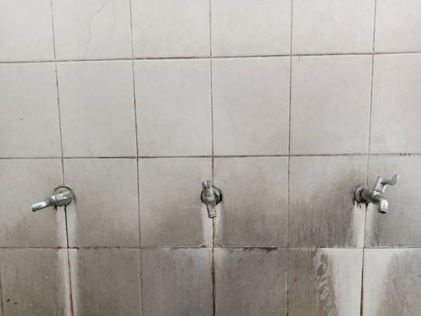 Best Commercial water damage restoration  in Woodville, TX